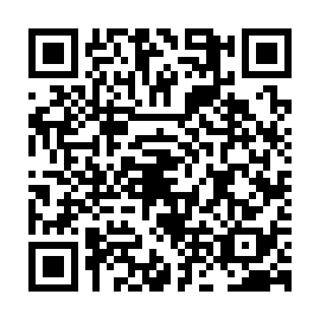 QR code for LNF3382