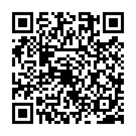 QR code for LNH4919