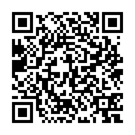 QR code for LNK3307