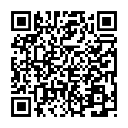 QR code for LNY0384