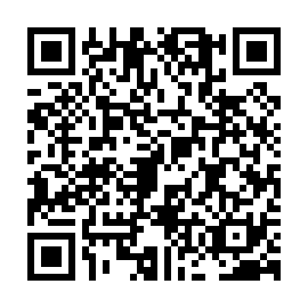 QR code for LOE0313
