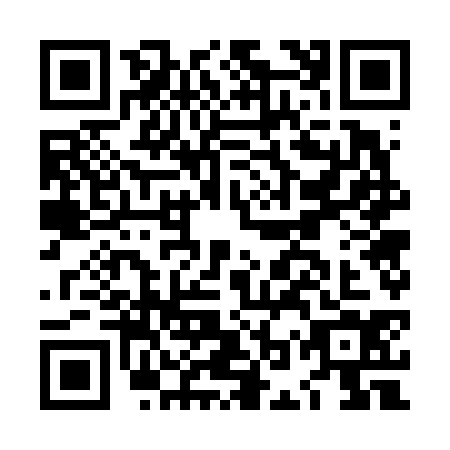 QR code for LOW6347