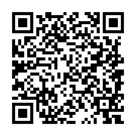 QR code for LPN9933