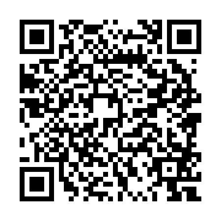 QR code for LPX2833