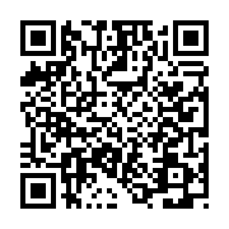 QR code for LQD0411