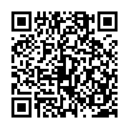 QR code for LRU9666