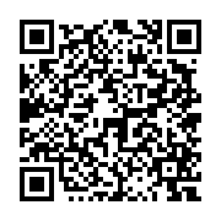 QR code for LSE4453