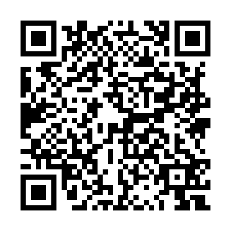 QR code for LSI9229
