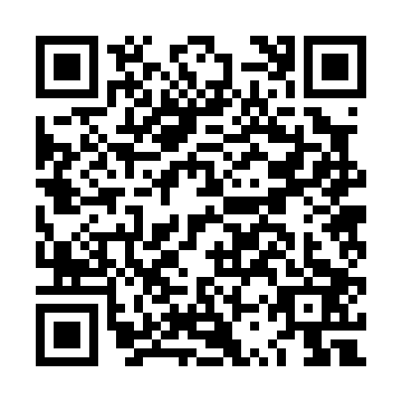 QR code for LSR0033
