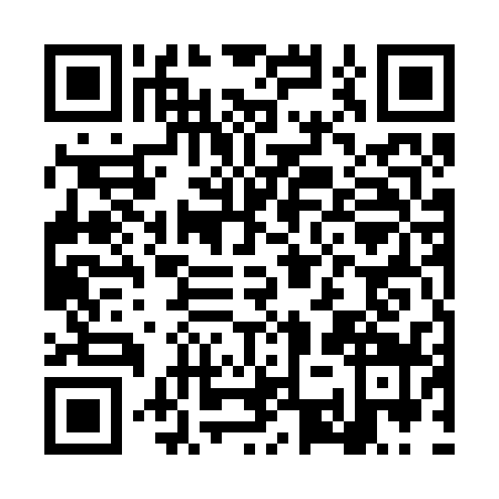 QR code for LSU2393