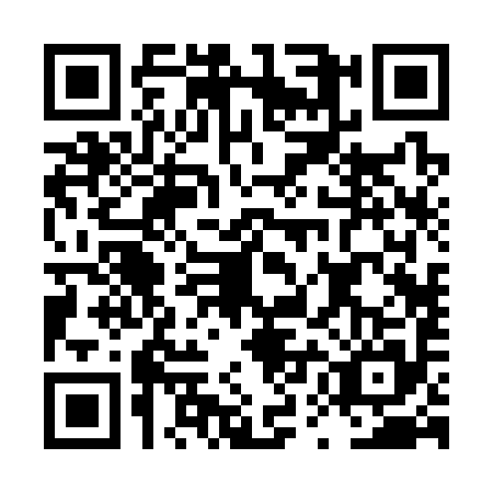 QR code for LUB3951