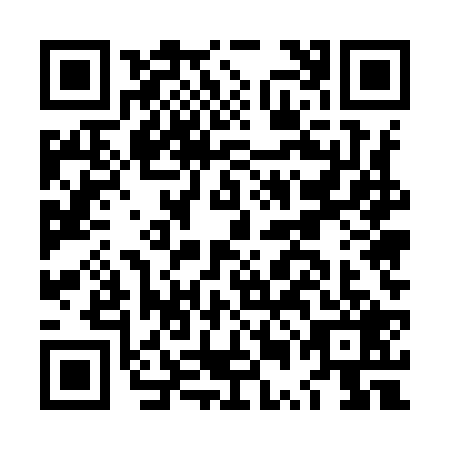 QR code for LUE9295