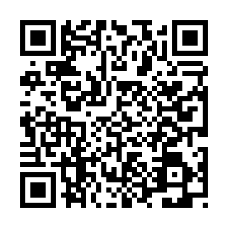 QR code for LUL0161