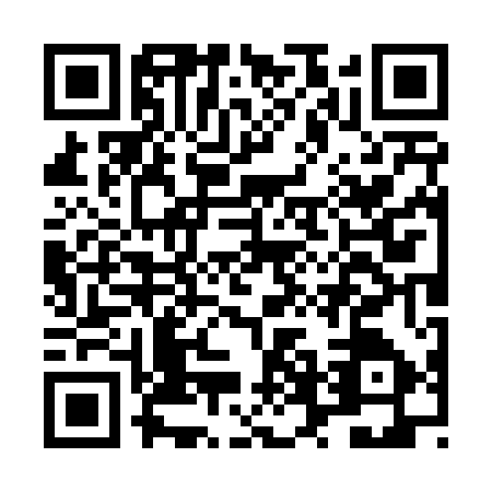 QR code for LVO4579