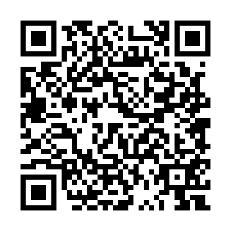 QR code for LVT1513