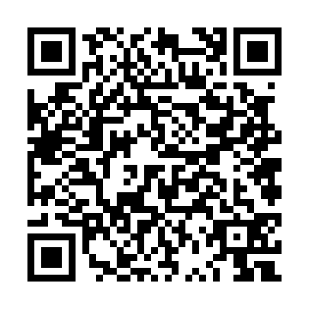 QR code for LVV0329