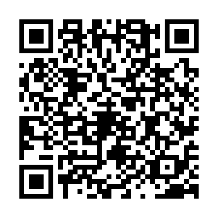 QR code for LYN3193