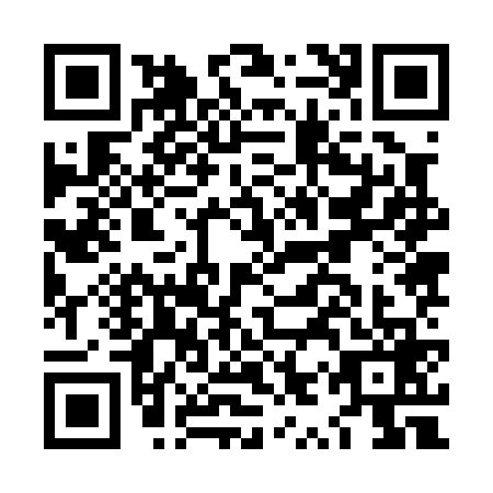 QR code for LYZ0694