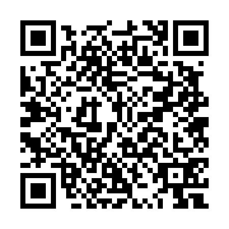QR code for LZB4729