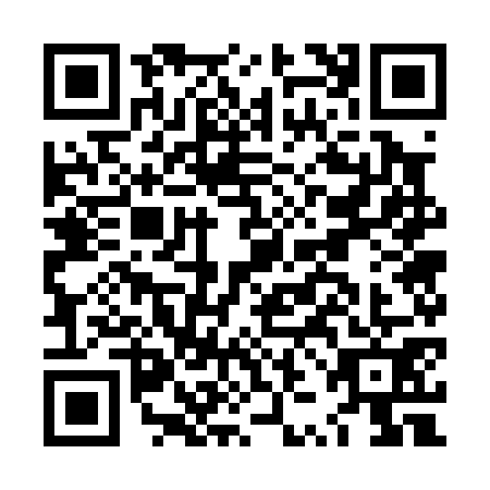 QR code for LZG0717