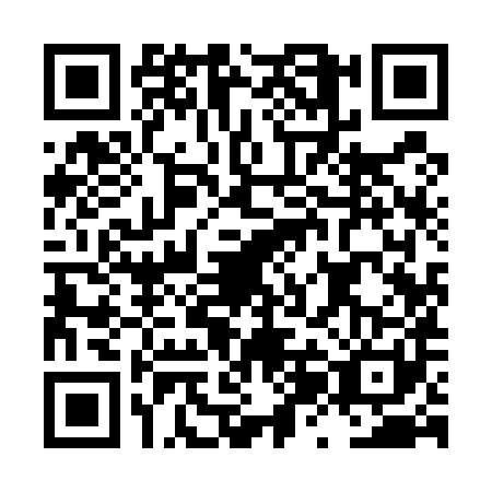 QR code for LZI5811