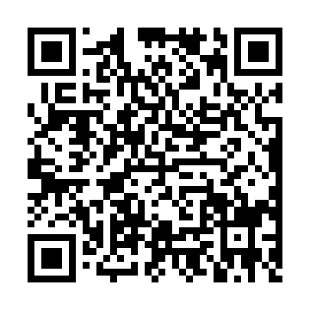 QR code for LZV0990