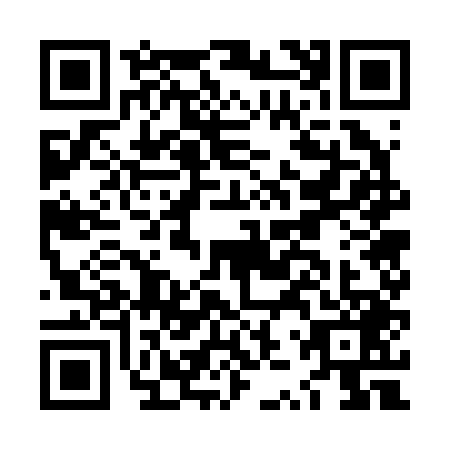 QR code for LZW2493