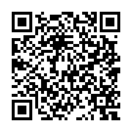 QR code for LZX0577