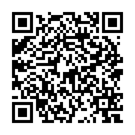 QR code for LZY2656