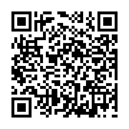 QR code for LZZ3271