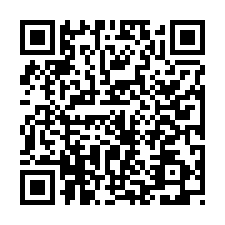 QR code for MAN2929