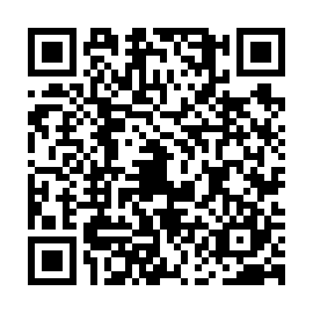 QR code for MAN6273