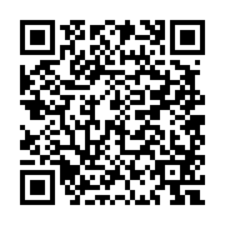 QR code for MAR4838