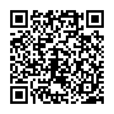 QR code for MAS2937