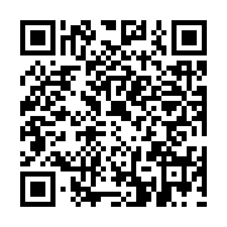 QR code for MAX3388