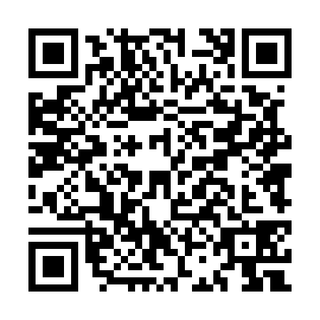 QR code for MCD5383