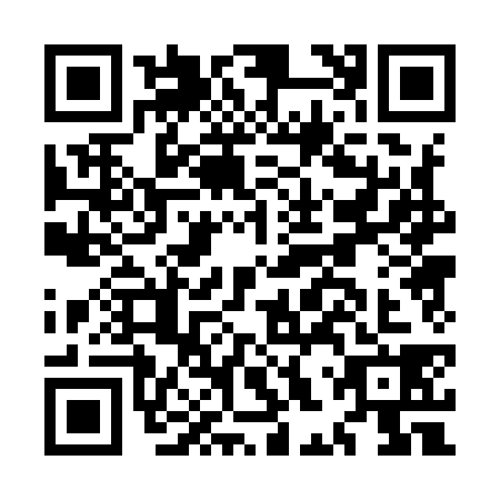QR code for MHP9384