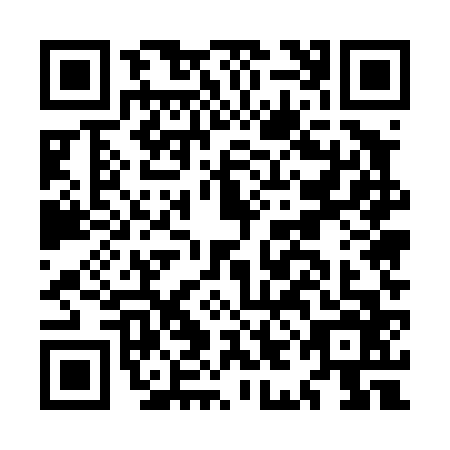 QR code for MIE4666