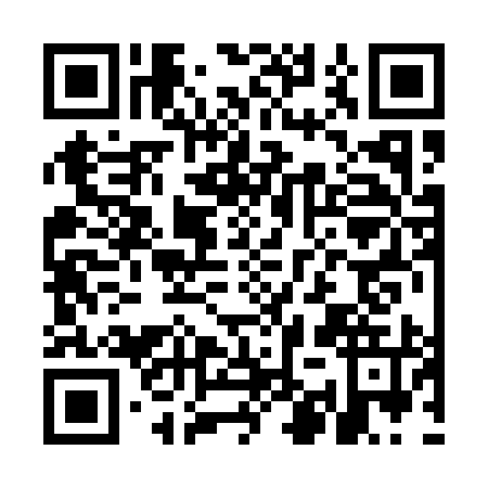 QR code for MIR1954