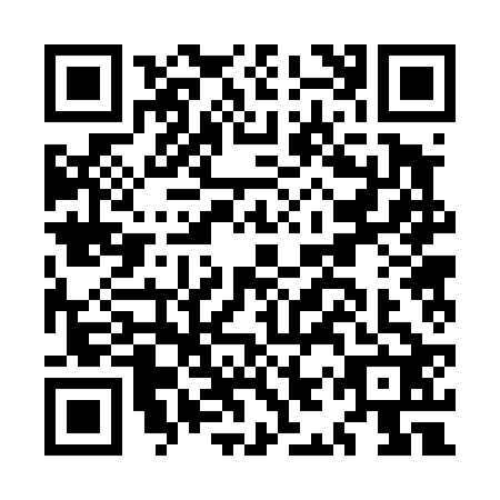 QR code for MIR4227