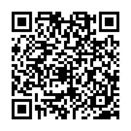 QR code for MIX3979