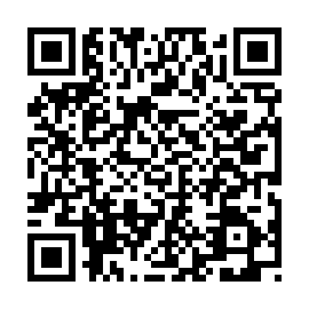 QR code for MJX4252