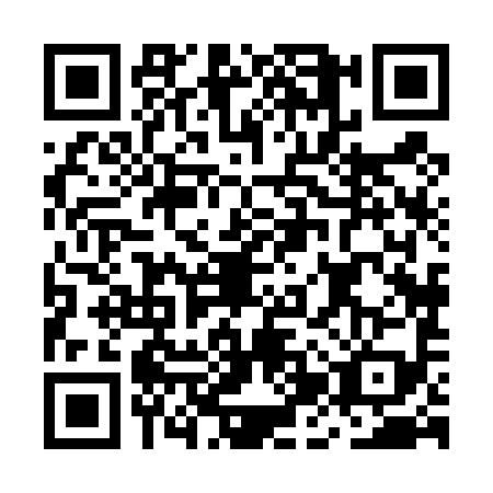 QR code for MJX4991