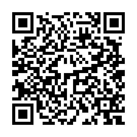 QR code for MLG4133