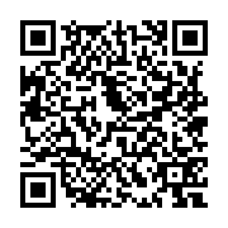 QR code for MLU9733