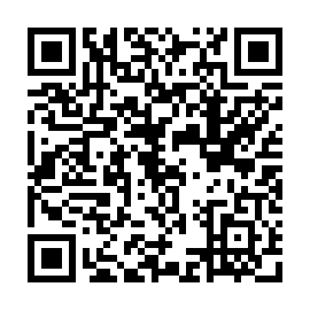 QR code for MMQ2013