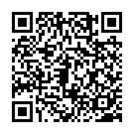 QR code for MNG2011
