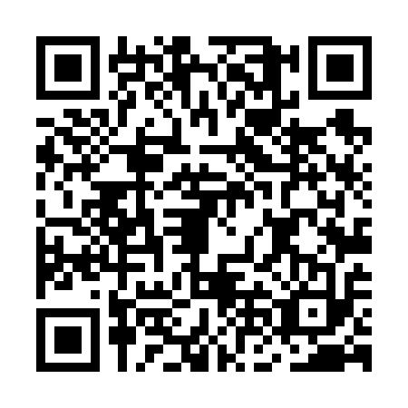 QR code for MNL6133