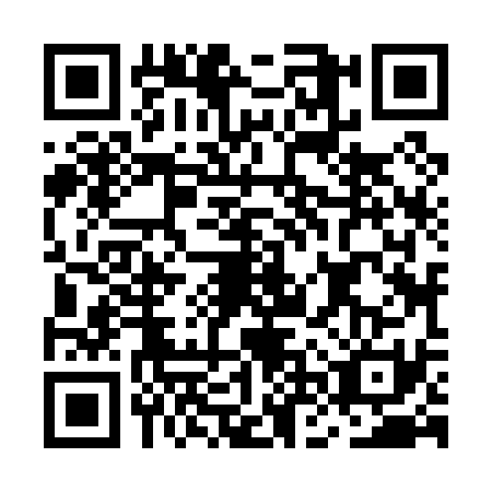 QR code for MNZ0313