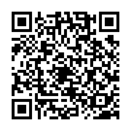 QR code for MPL6382